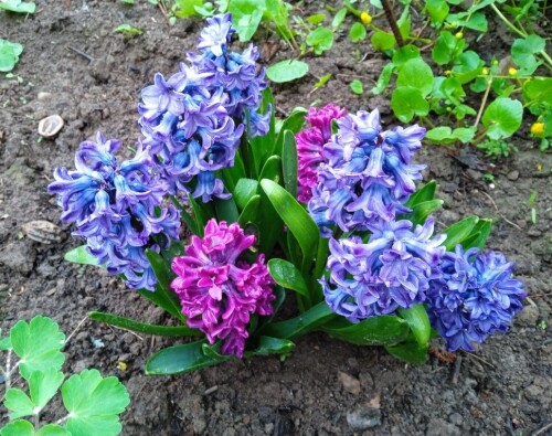 1-may-25482be1d3d7dd93f.jpg