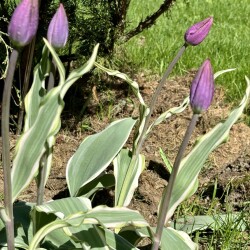IMG_8236de0bcfcc6133b2df