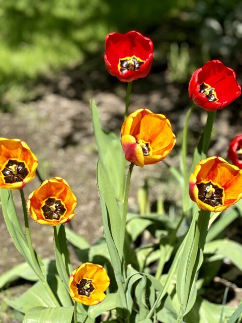 IMG_8336fbe4abd091f650bd.jpg