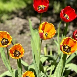 IMG_8336fbe4abd091f650bd