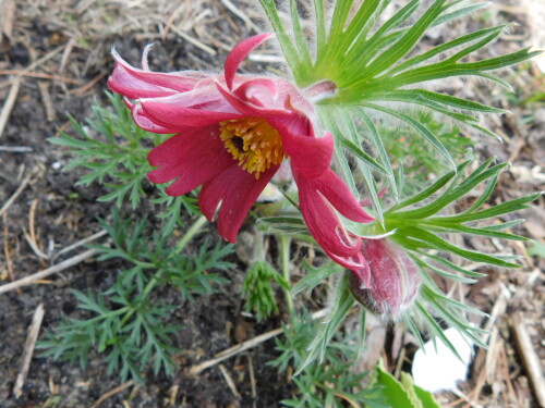 DSCN8673
