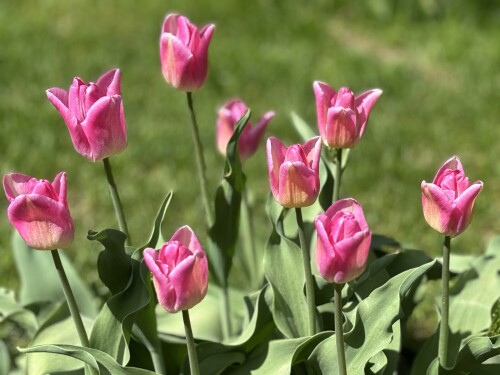 IMG_83497b87953f9e9718c0.jpg
