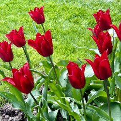 IMG_838586fd9b5580fd794c