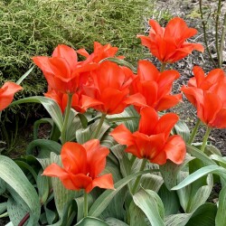 IMG_83930a23e1b71d24ab06