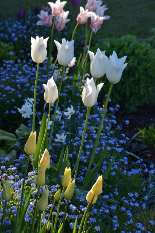 DSC_6888_NOVYI-RAZMER00e2da7c0a3c1113.jpg