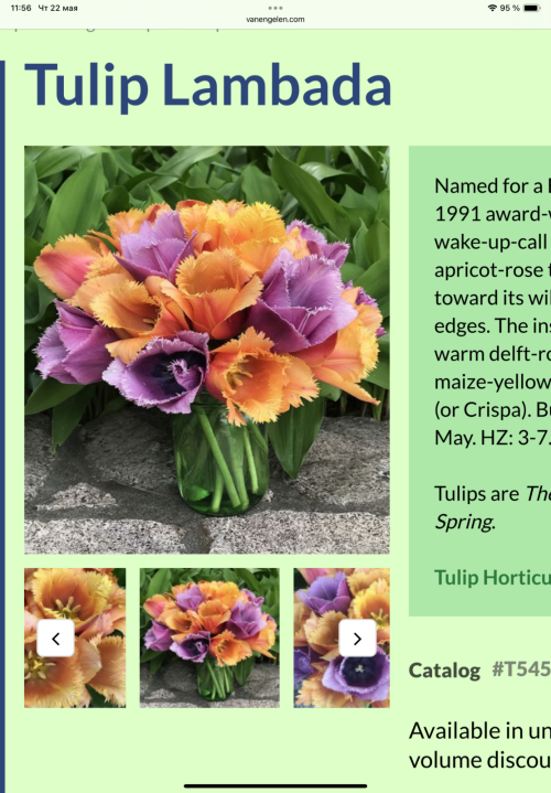 IMG_110031442bef53689431.png