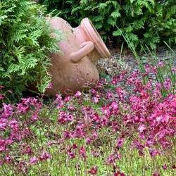 IMG_8485da2213ac0734026b