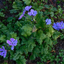 DSCN48298482857f9b126bc8