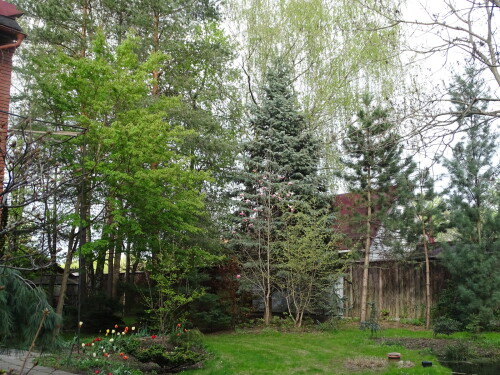 DSC09323671563fcc79c3871.jpg