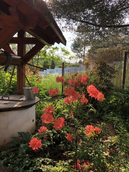 IMG 0628