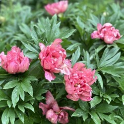 IMG_948023177d1dd04f0548