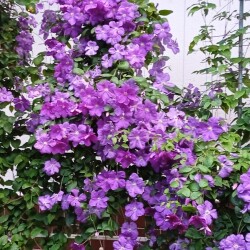 no-name-22-jul89d25c930f524ae0