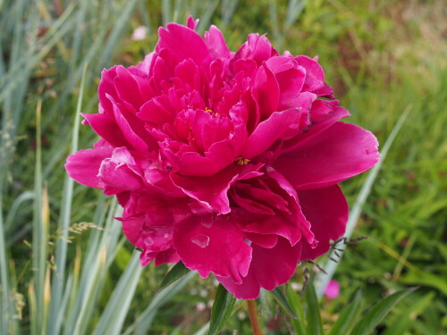 MINTI-MOe966f88d255b4e0d.jpg