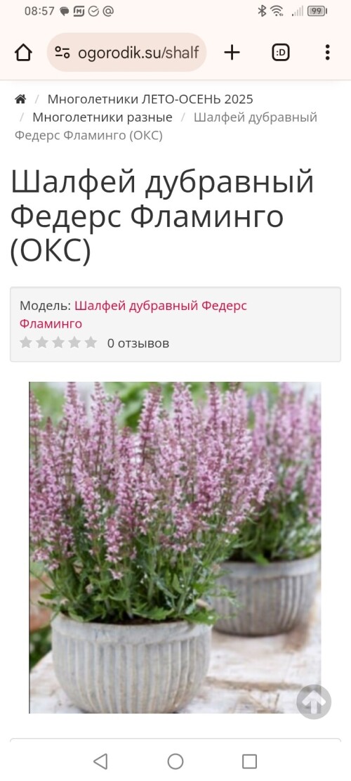 Screenshot_20250802_085759_com_android_chrome_ChromeTabbedActivity5c9f1be3a5c07d4e.jpg
