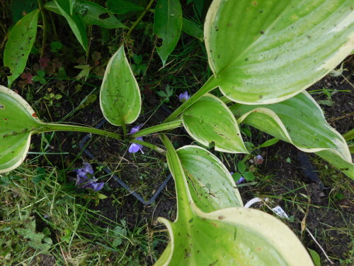 DSCN1722