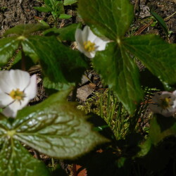 DSCN9473079b290f31a7bda4