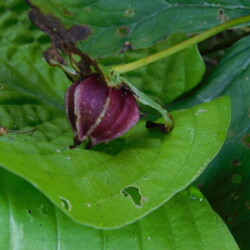 DSCN18392196df5d47527c84