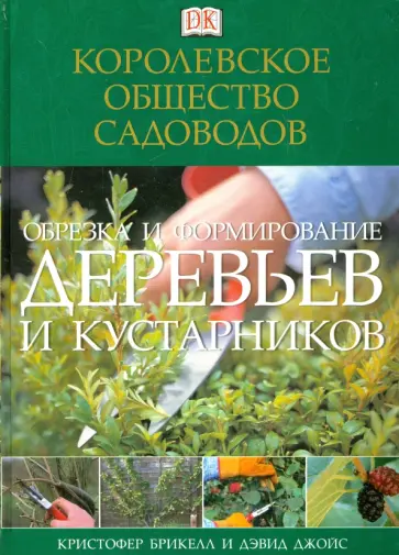 363-04d65681f7e8b16fc.webp