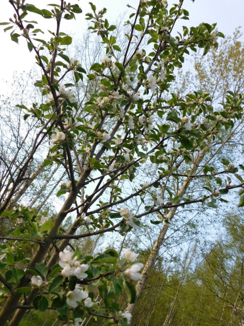 DSCN9098d92f32dacaa3b556.jpg