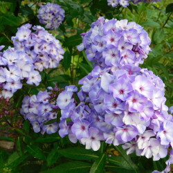 DSCN56876883fdfe59558175