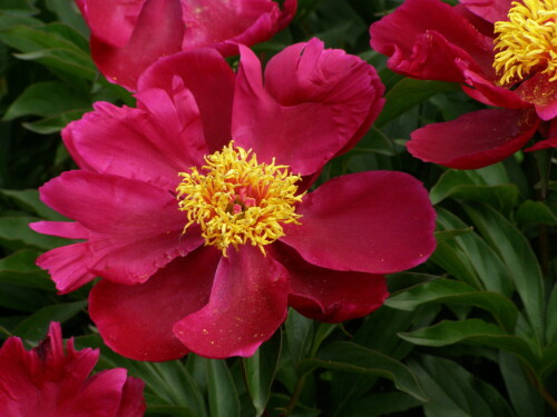 P6220647b0cbf952348c0d7e.jpg