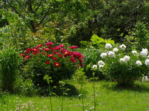 P622066032604bd606c76394.jpg