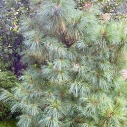 IMG_079079a0bb44be424b6d