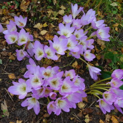 DSCN23238c01bb6ec31cbb46