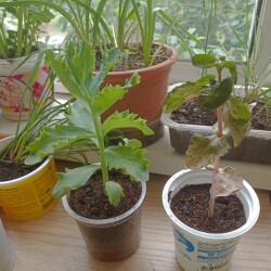 IMG_20250530_113107a9dbb29c7e23a1c3