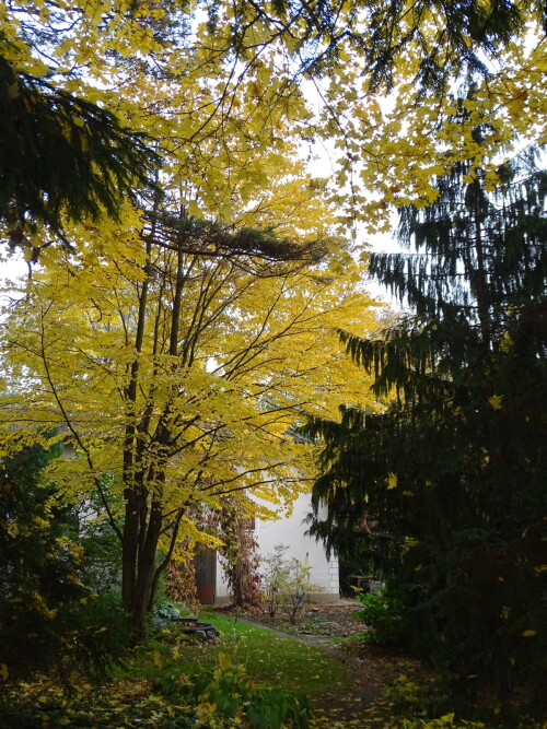 DSC09999