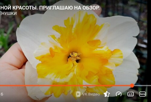 Screenshot_20251014-184213_1a3dc47c6f764b577.jpg