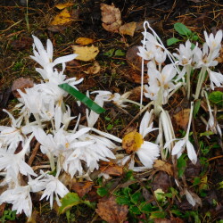 DSCN27578ad7d25ad8679099