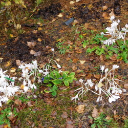 DSCN27581675e3dfaefea52f