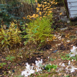 DSCN2808747ecd18a22c1cf4