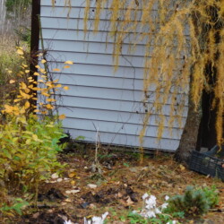 DSCN28109ce03c12de062e69