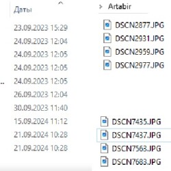 KROKUSYOS-DATYbd169fb030ac5f71