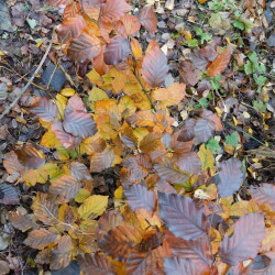 DSCN2821f8290672229e2db1