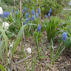 IMG_20250424_18051415f248773e618d9a