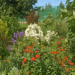 IMG_20250623_0945412c4842e707a726a5