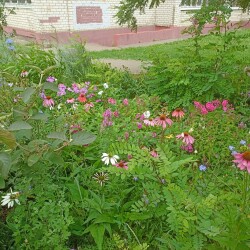 IMG_20250722_120234447e51423907faad