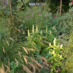 IMG_20250731_191941754df36319633458