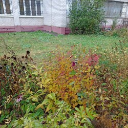 IMG_20251021_120855991ea9078b4ecfbb