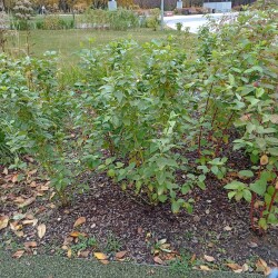 IMG_20251030_120923d2e6a0464081564e