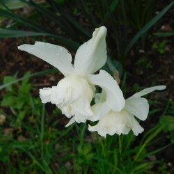 DSCN9379321cbf873e45b186