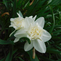 DSCN93804c865f55757b98d3