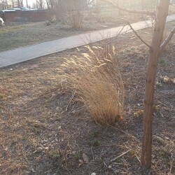 IMG_20250324_173659849533122f897e72