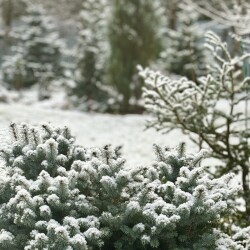 IMG_09870239a7147a527ea5