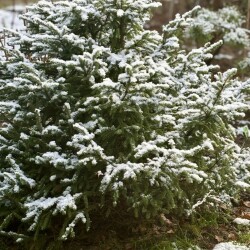 IMG_0998b5178e9843c658c6