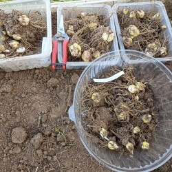 IMG_20250921_172020857e54701dbc530a