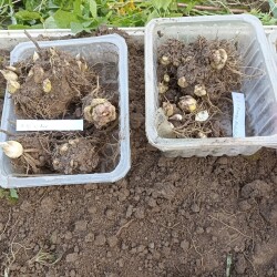 IMG_20250921_1720249f8acbcfe83abb00